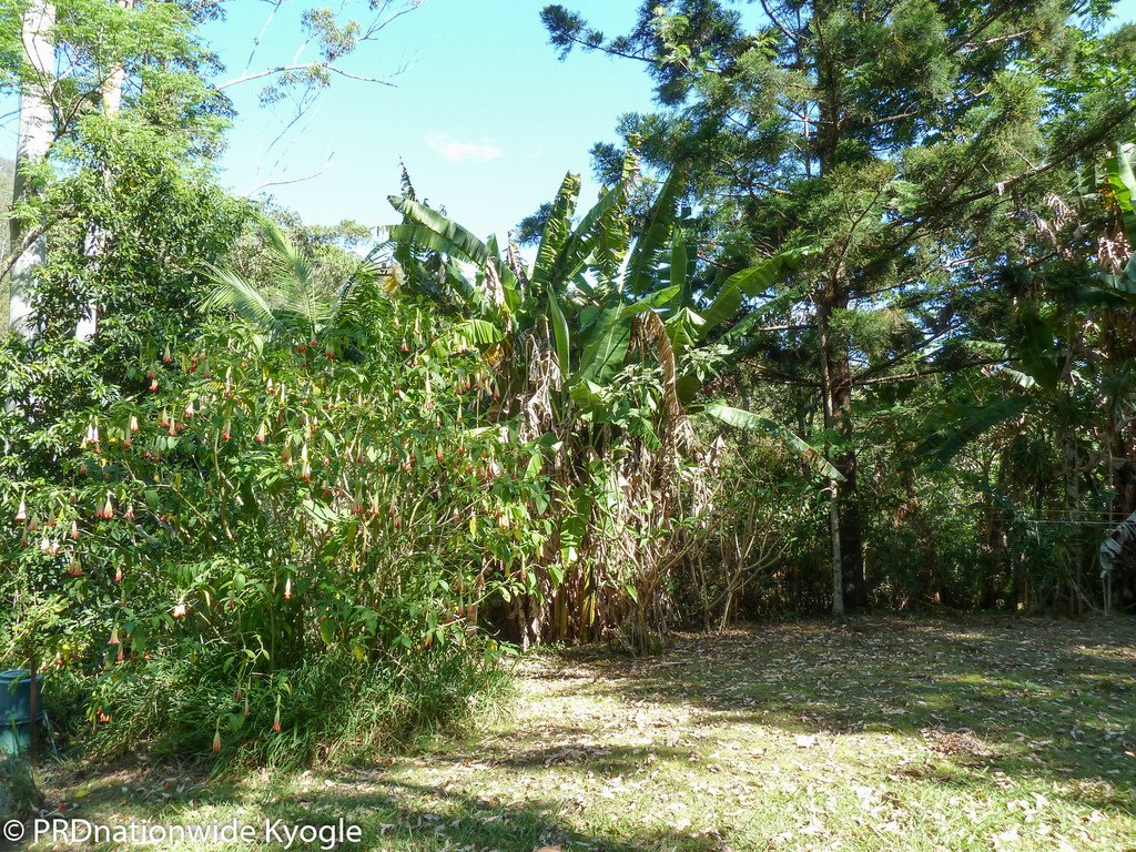 362 Boundary Creek Road, Bentley  KYOGLE 6
