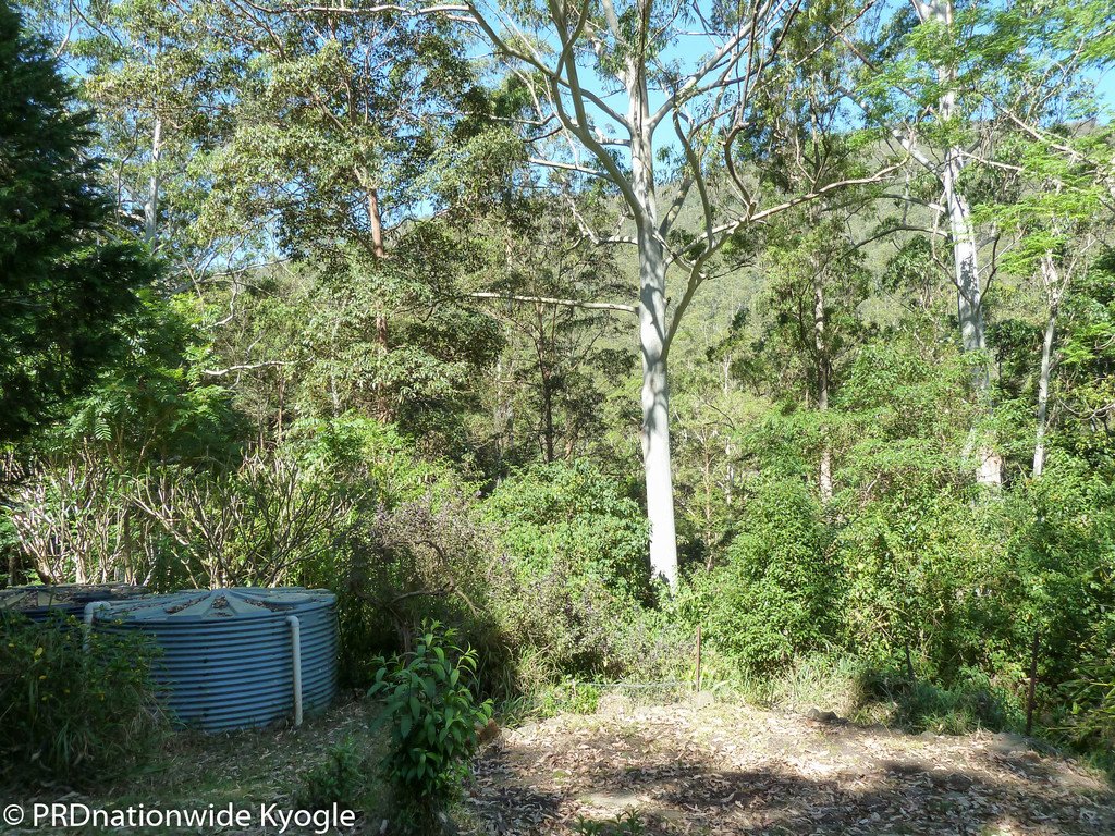 362 Boundary Creek Road, Bentley  KYOGLE 7