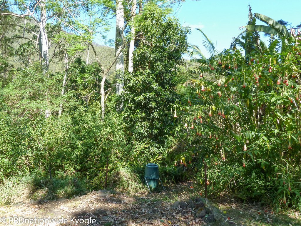 362 Boundary Creek Road, Bentley  KYOGLE 8
