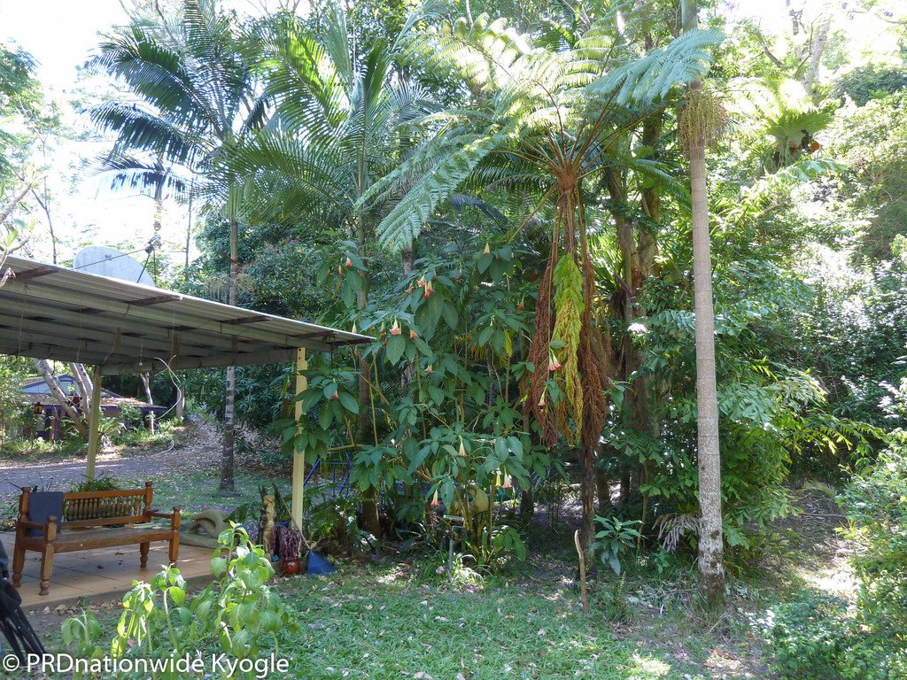 362 Boundary Creek Road, Bentley  KYOGLE 10
