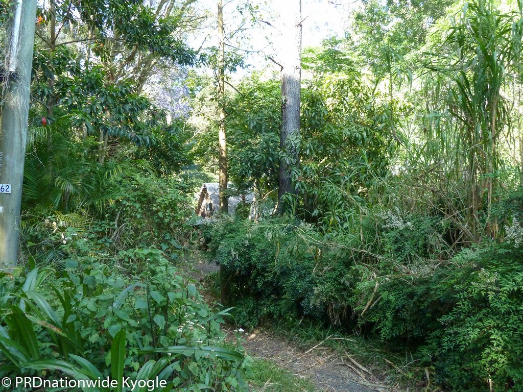 362 Boundary Creek Road, Bentley  KYOGLE 15