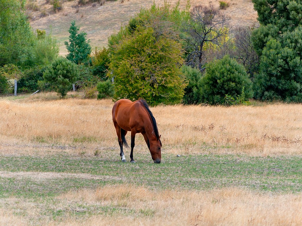 364 Back River Road MAGRA 18