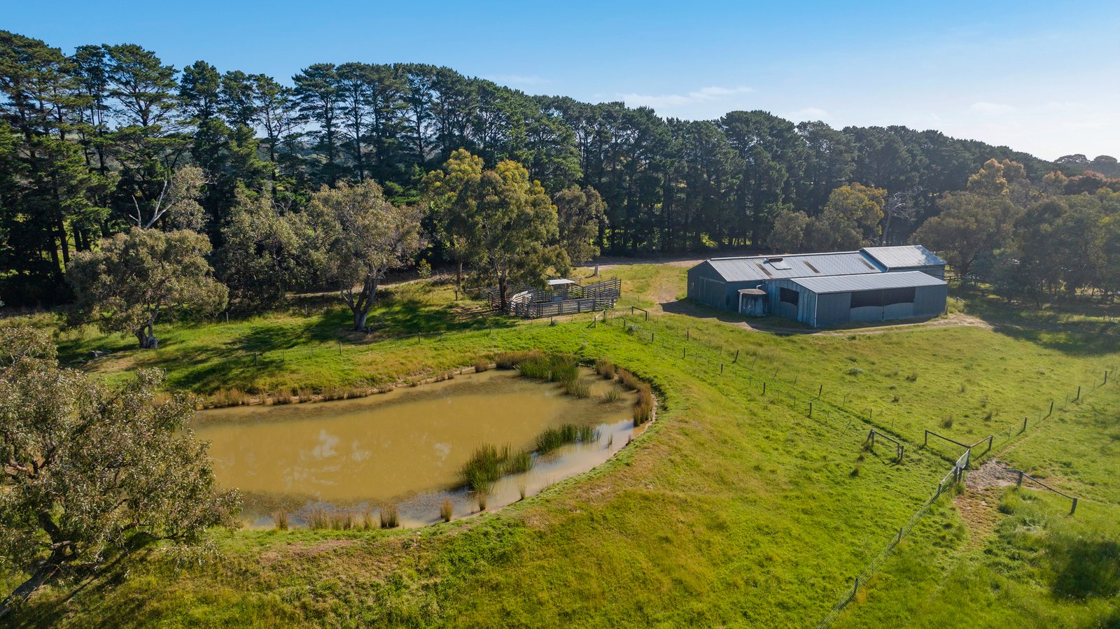 365 Wallaces Road, Dromana, 3936