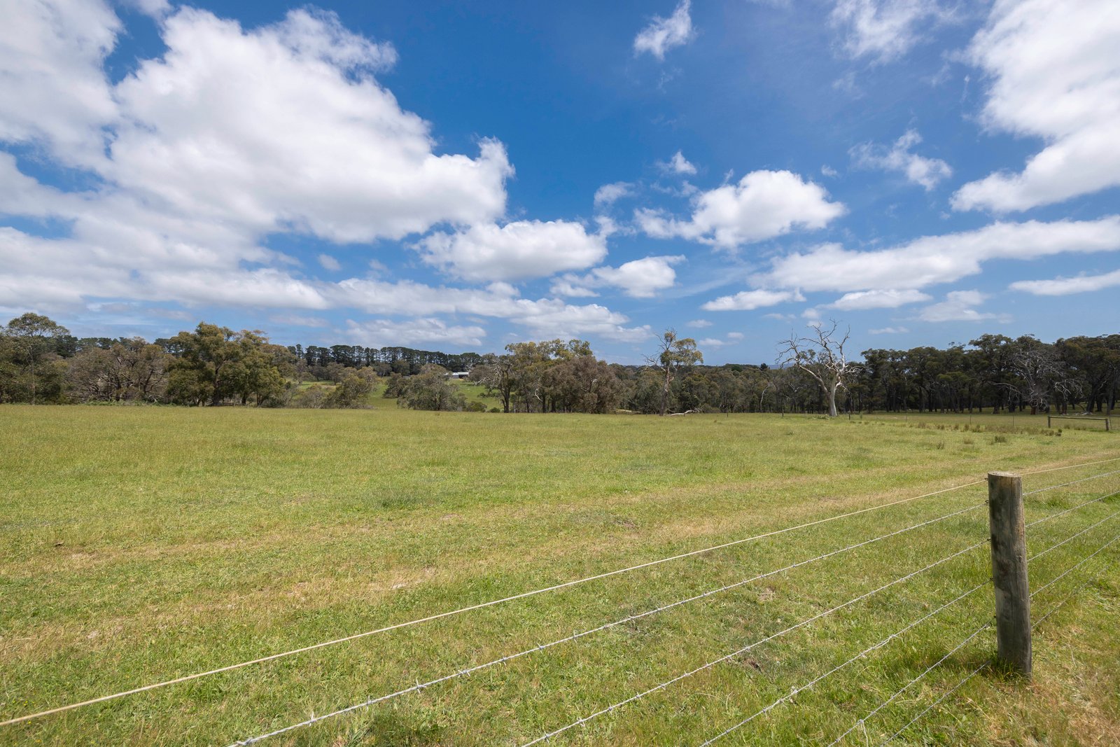 365 Wallaces Road, Dromana, 3936