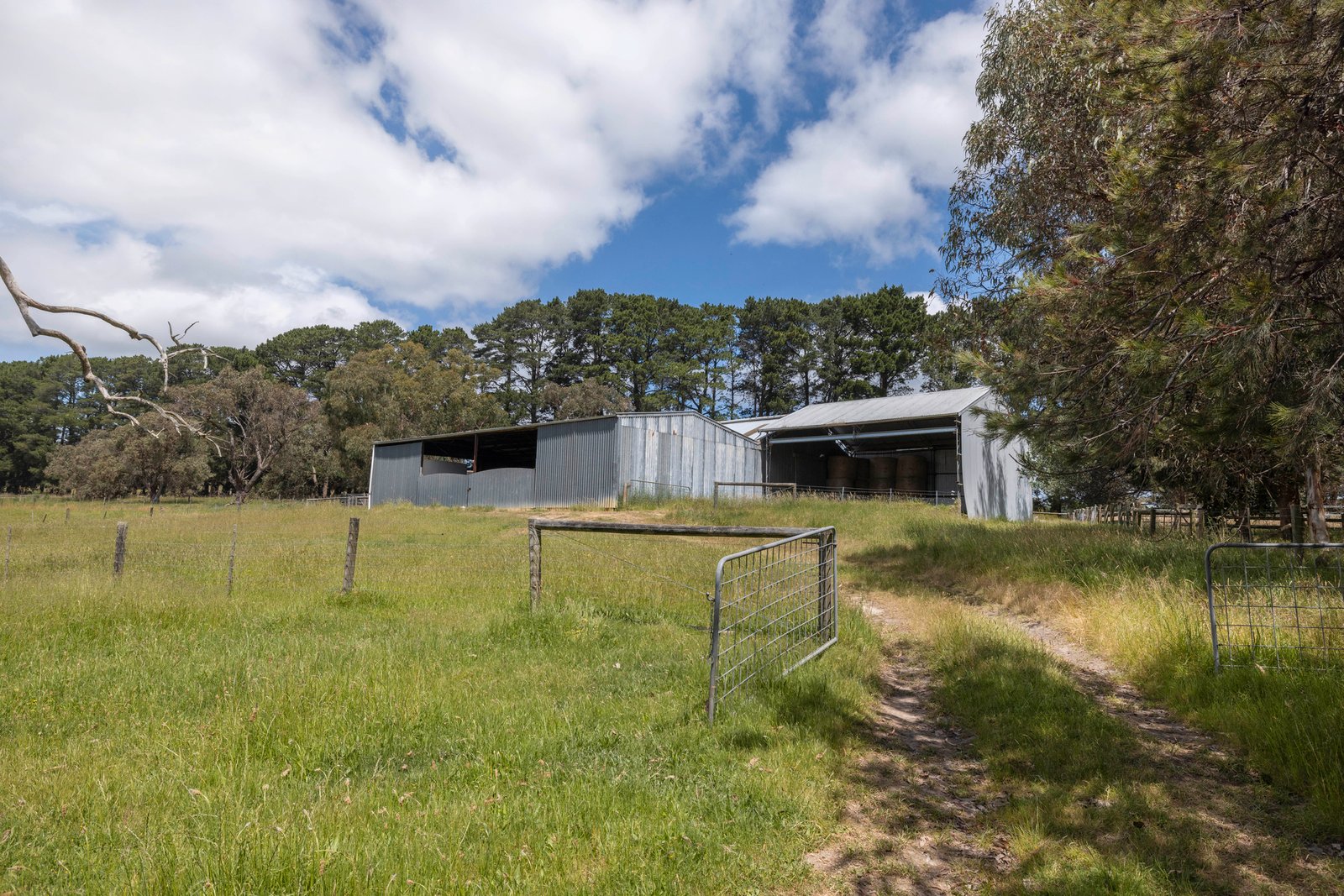 365 Wallaces Road, Dromana, 3936