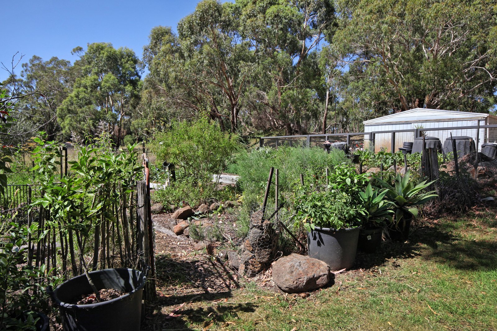 Real Estate and Property in 366 Black Range Road, Romsey, VIC