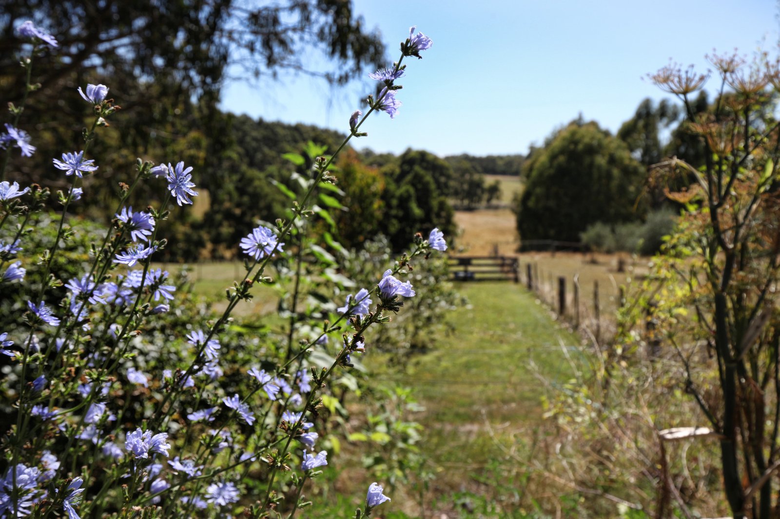 Real Estate and Property in 366 Black Range Road, Romsey, VIC