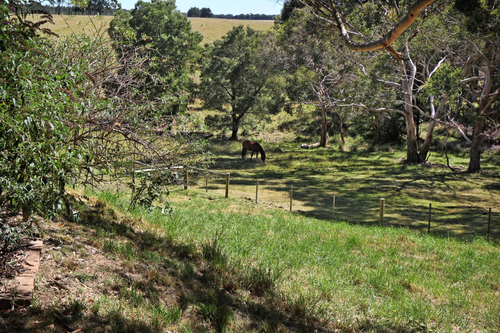 Real Estate and Property in 366 Black Range Road, Romsey, VIC