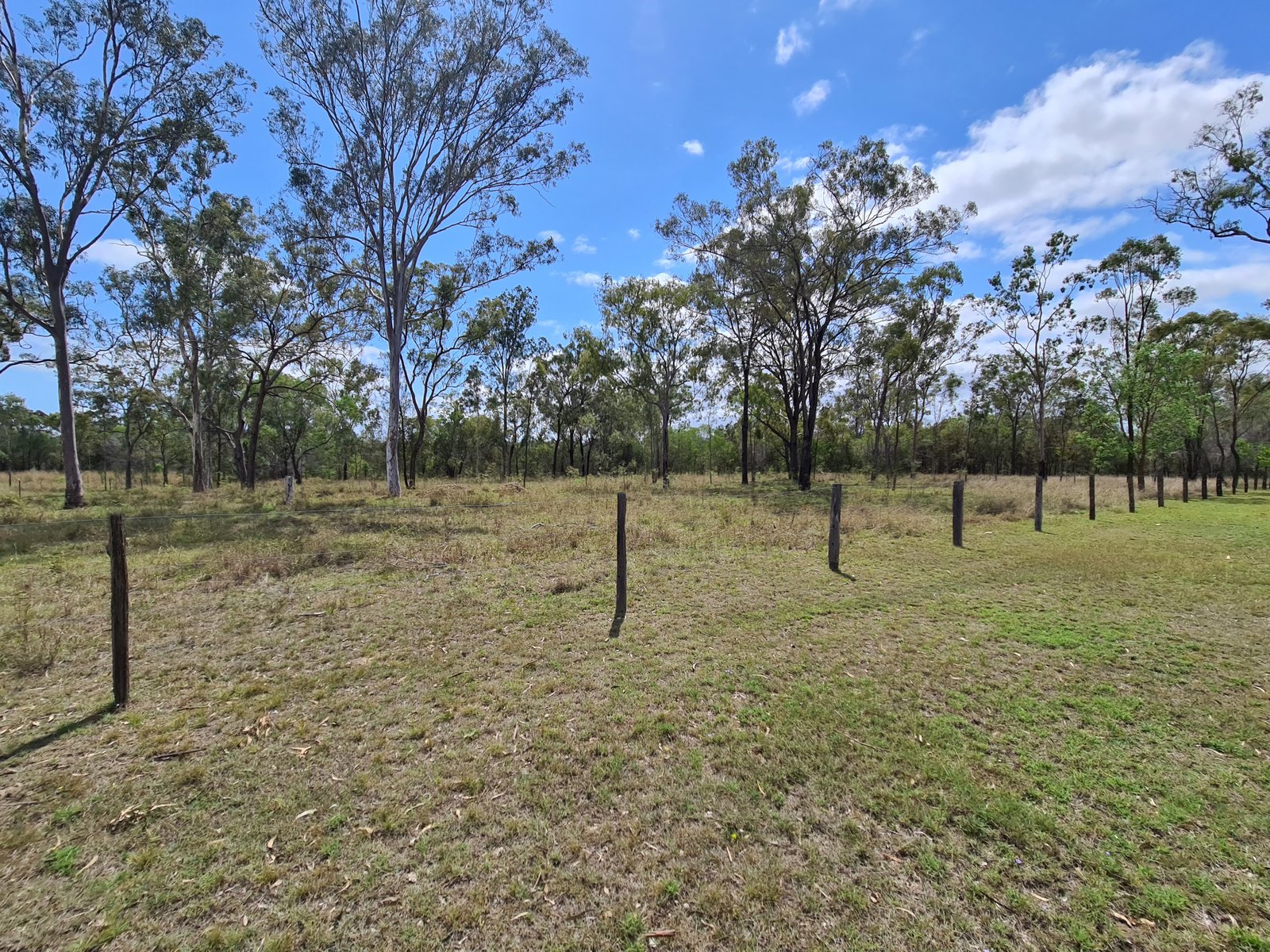 366 Intrepid Drive FORESHORES 32