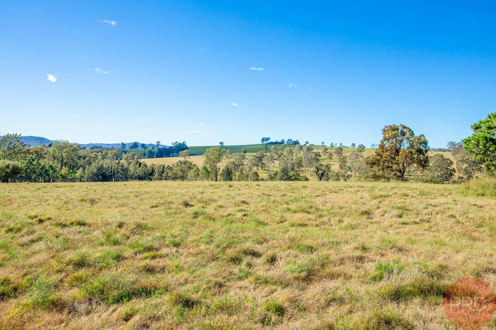 366B Mcmullins Road BRANXTON 13
