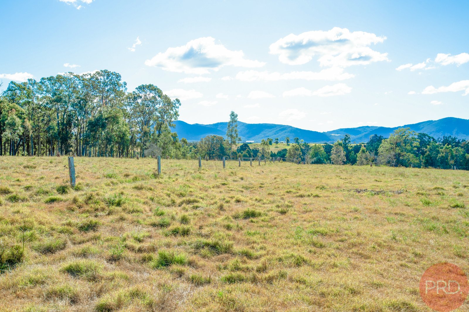 366B Mcmullins Road BRANXTON 19