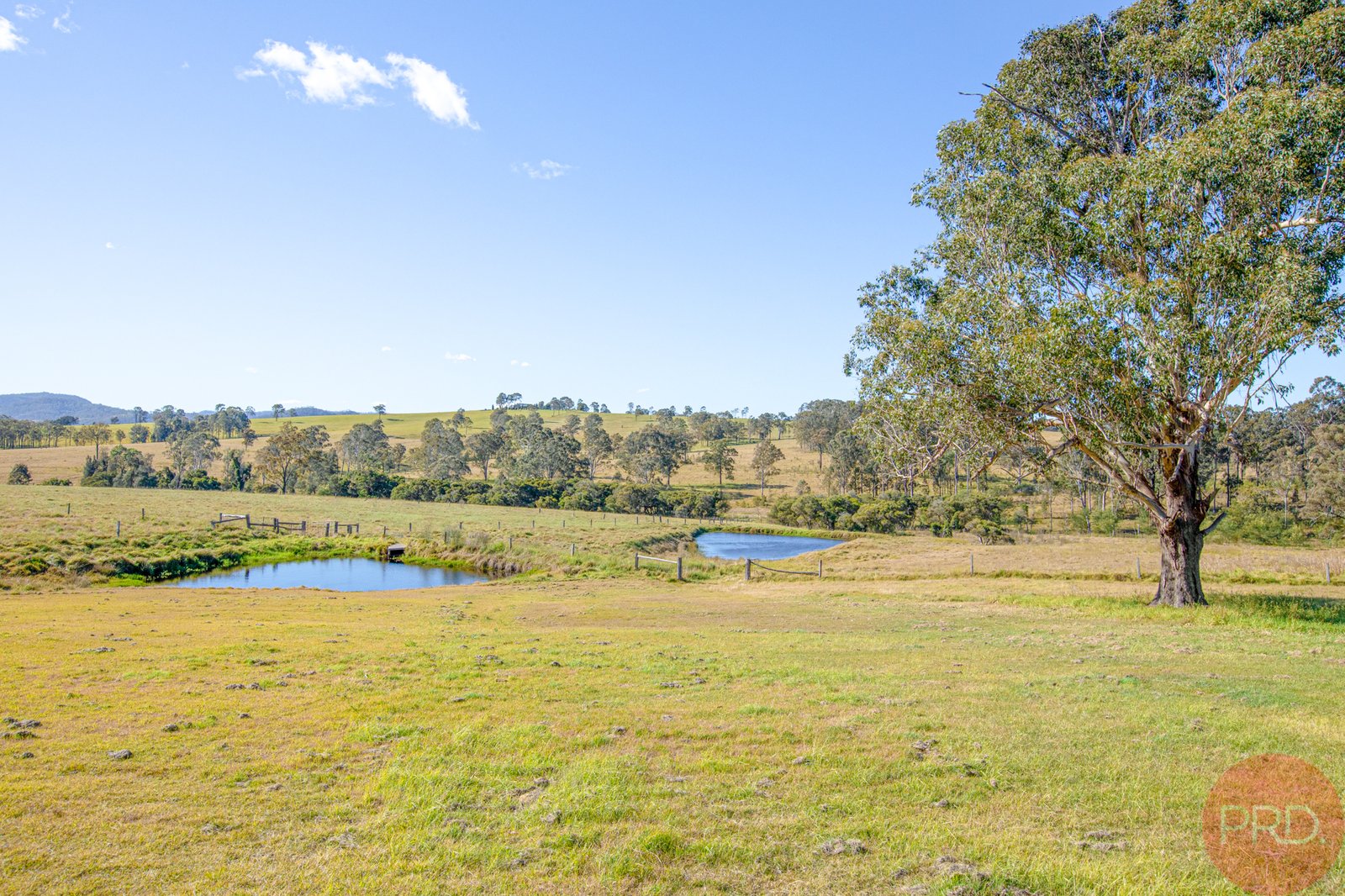 366B Mcmullins Road BRANXTON 29