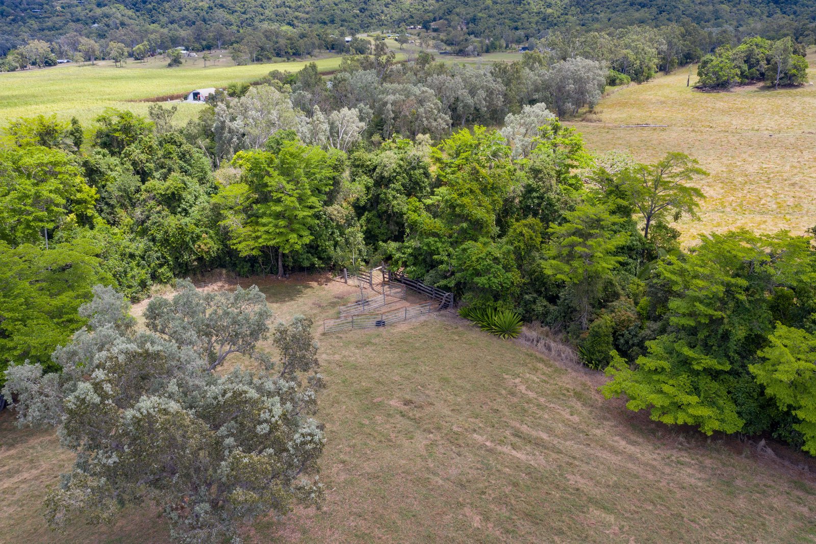 367 Strathdickie Road STRATHDICKIE 14