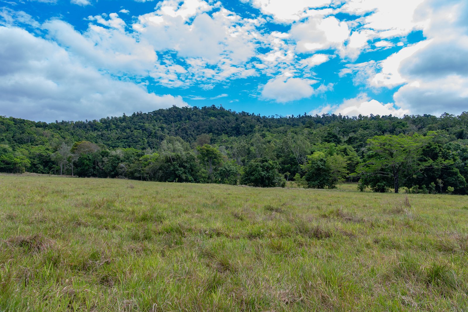 367 Strathdickie Road STRATHDICKIE 15