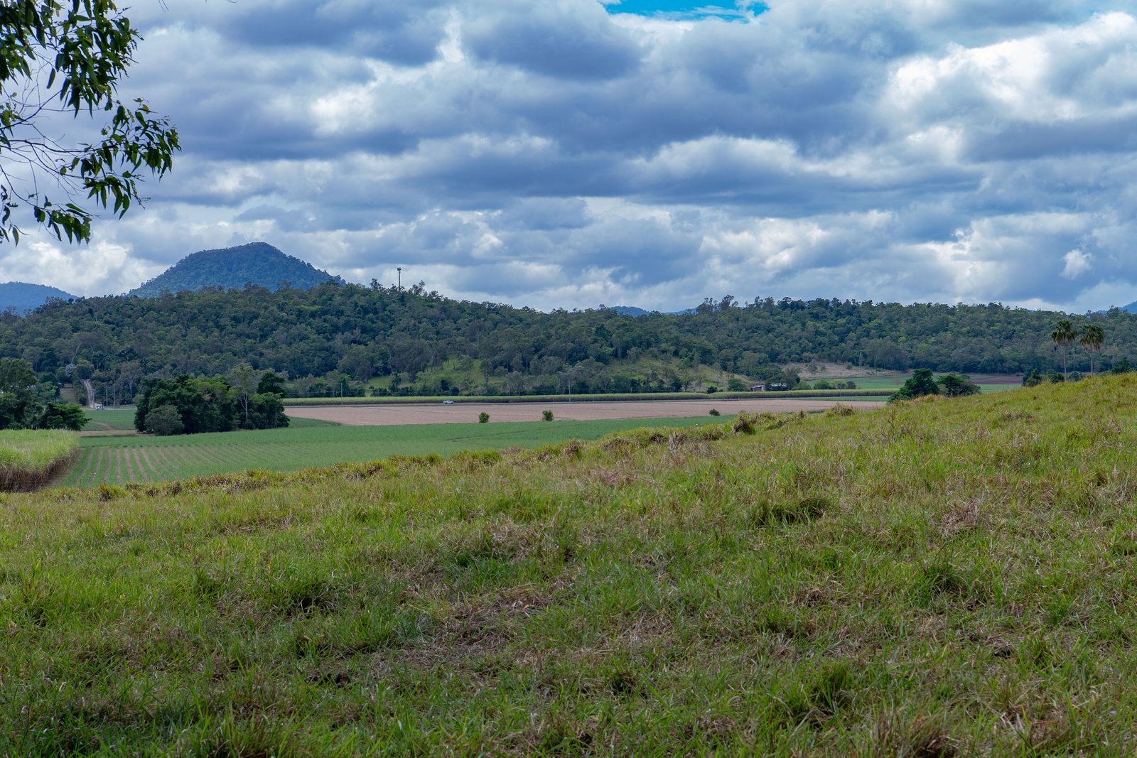 367 Strathdickie Road STRATHDICKIE 16