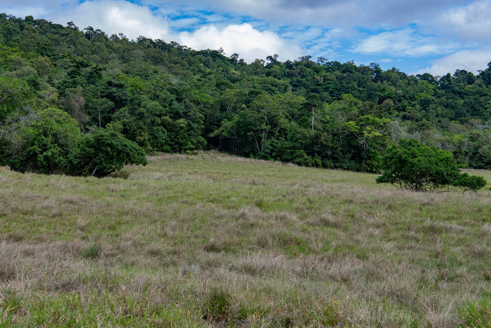 367 Strathdickie Road STRATHDICKIE 17