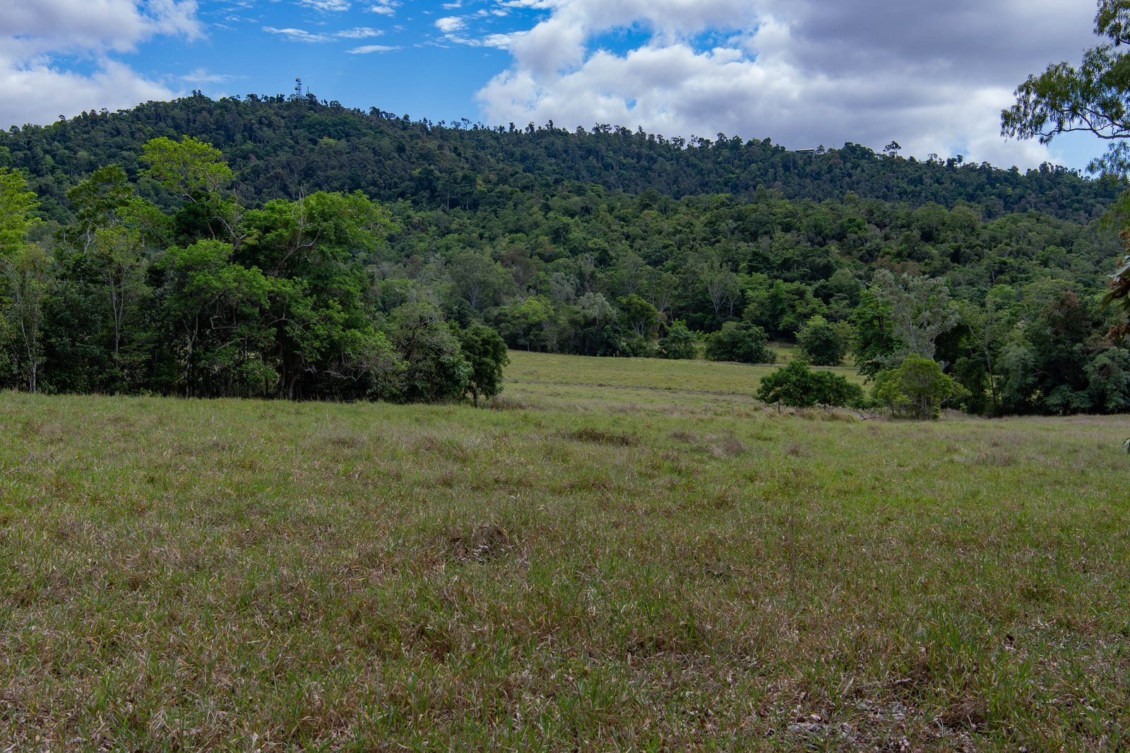 367 Strathdickie Road STRATHDICKIE 18