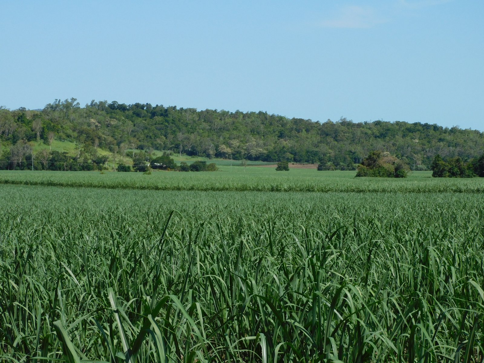 367 Strathdickie Road STRATHDICKIE 28