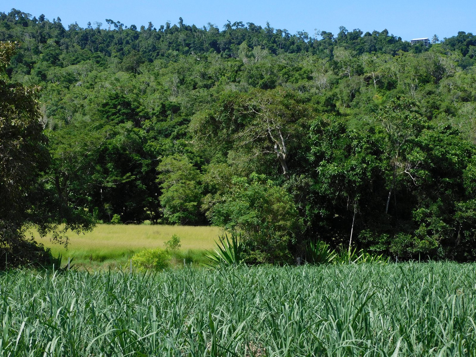 367 Strathdickie Road STRATHDICKIE 29