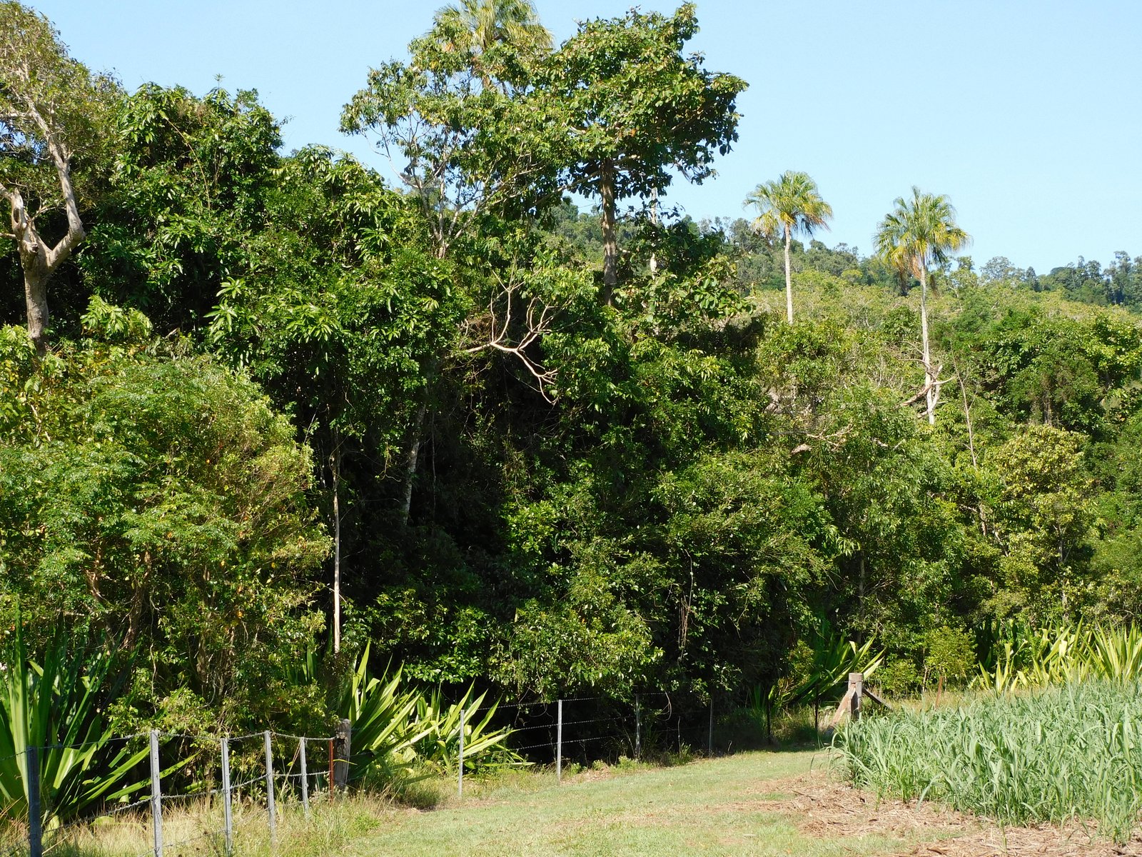 367 Strathdickie Road STRATHDICKIE 30