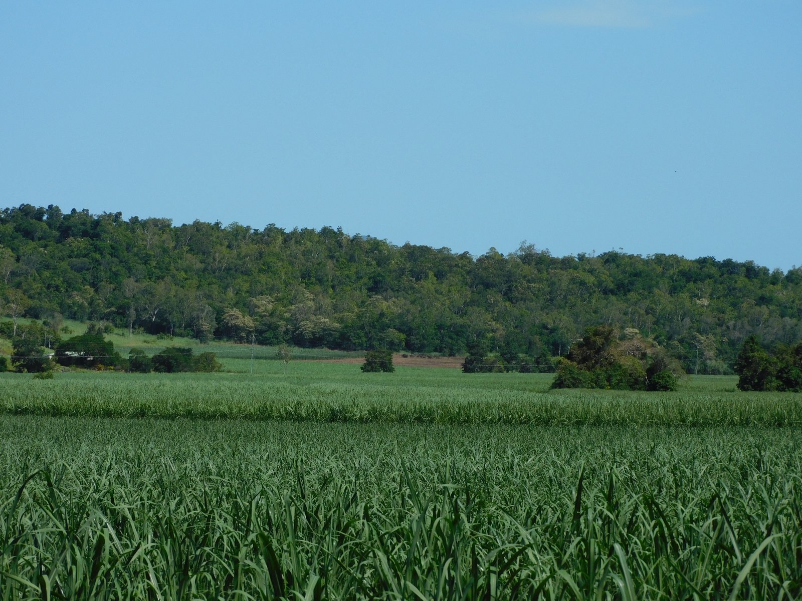 367 Strathdickie Road STRATHDICKIE 31