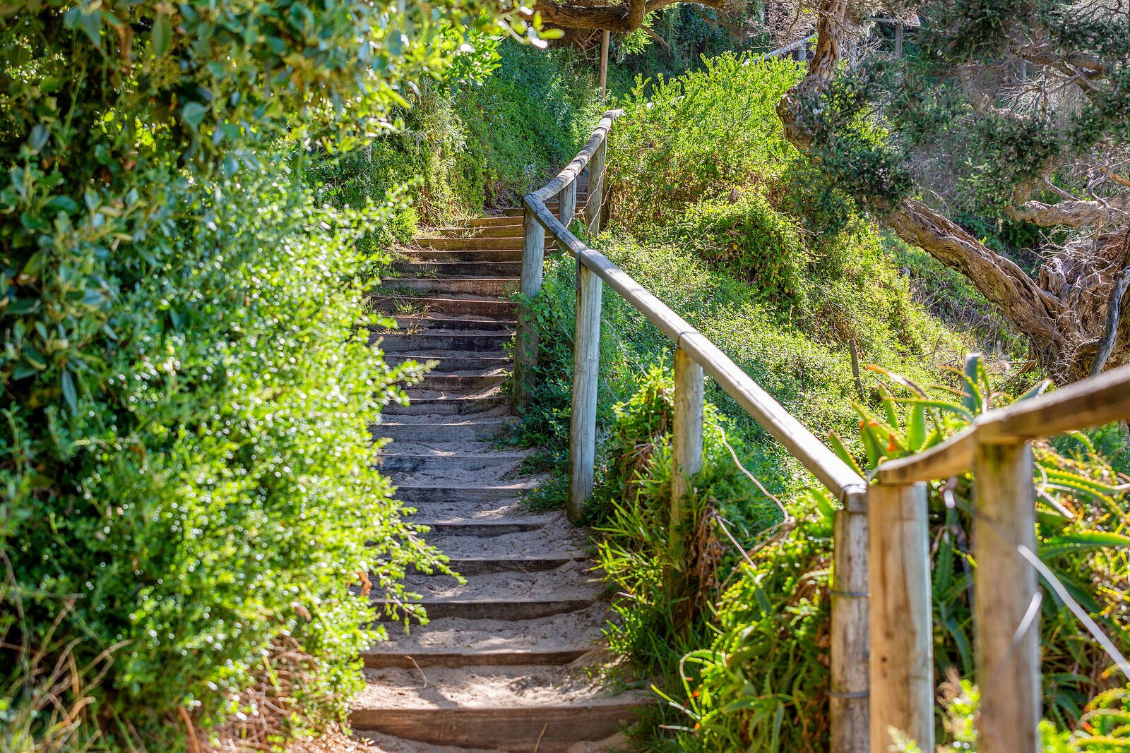 Real Estate and Property in 3680 Point Nepean Road, Portsea, VIC