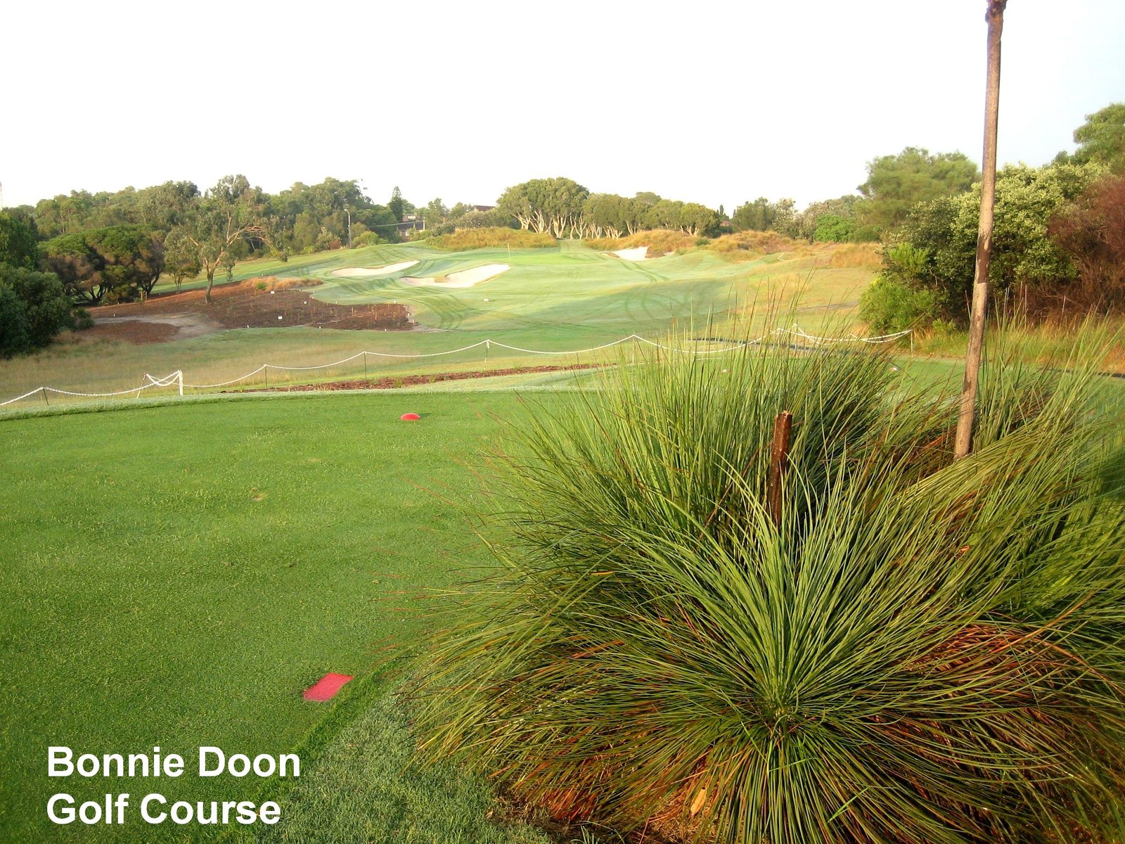 36a Denison Street HILLSDALE 21