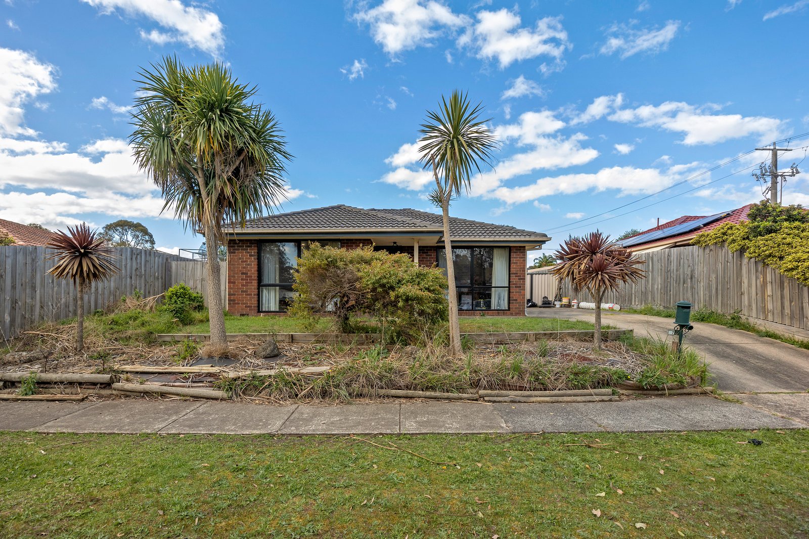 Gallery: 37 Arcadia Street