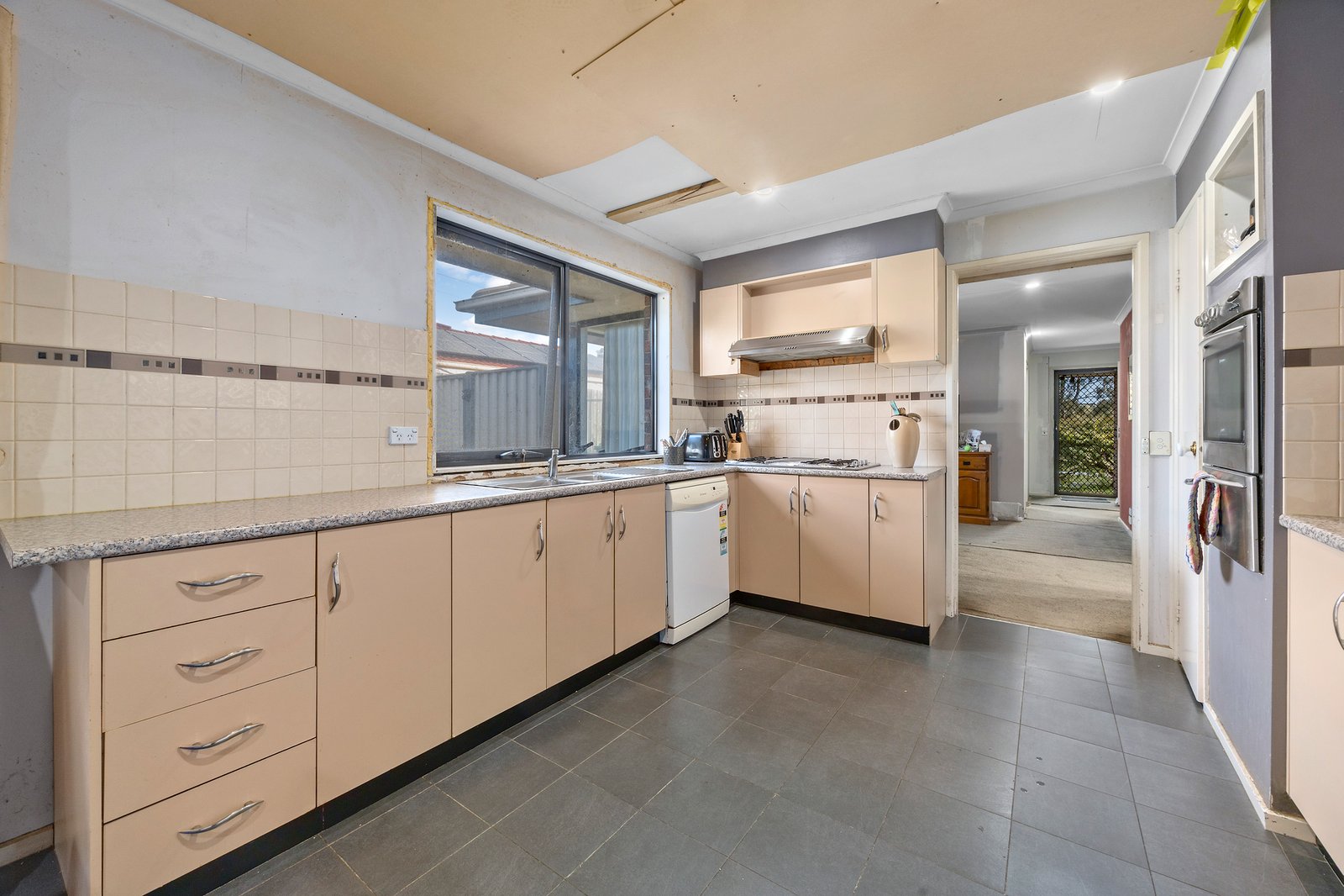 Gallery: 37 Arcadia Street