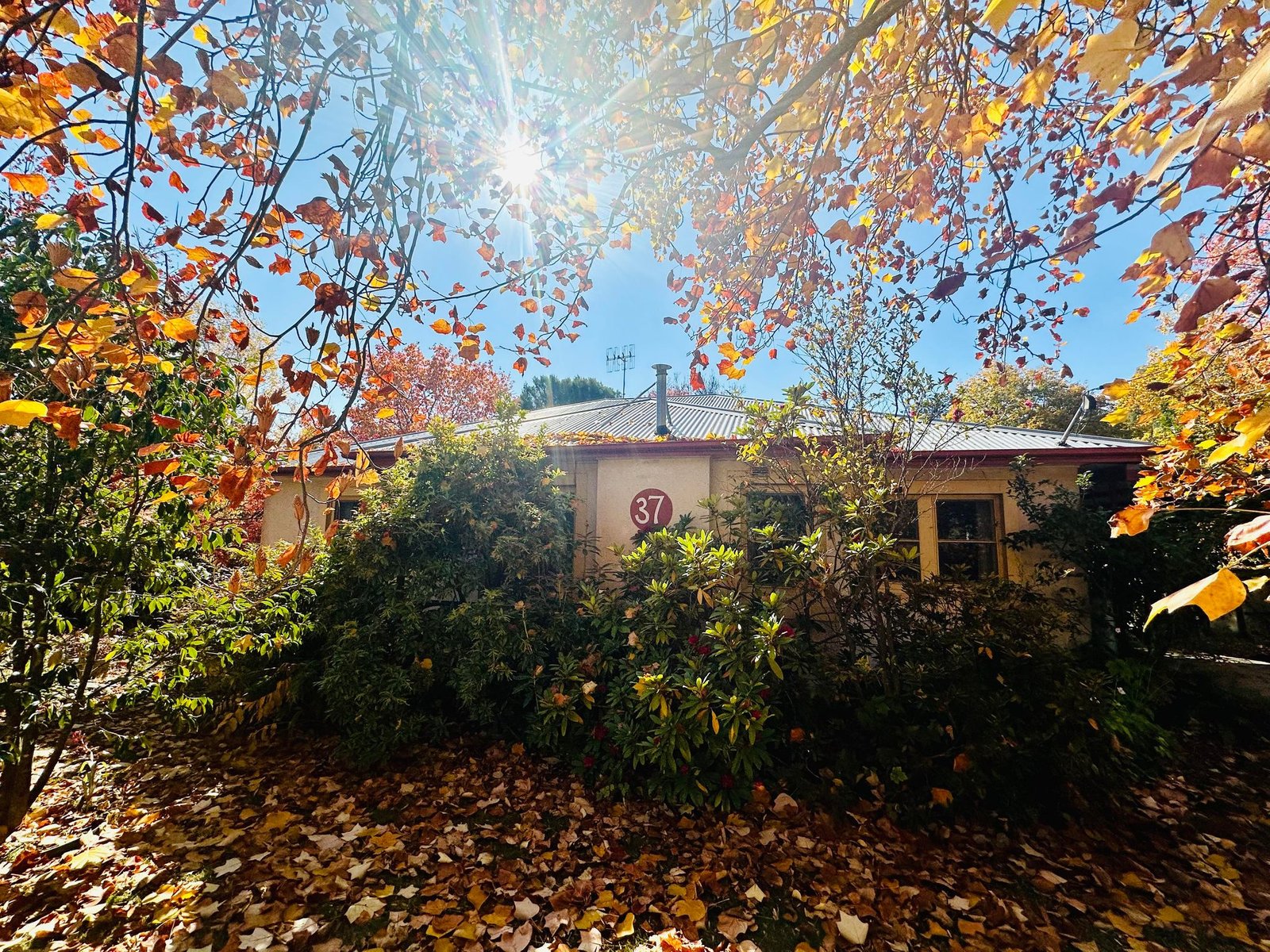 37 Bridge Street TUMBARUMBA 1