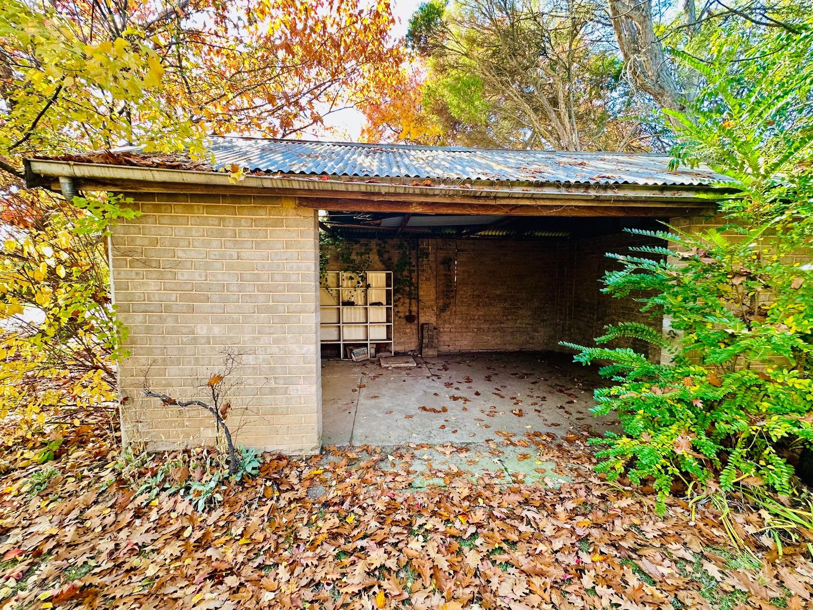 37 Bridge Street TUMBARUMBA 19