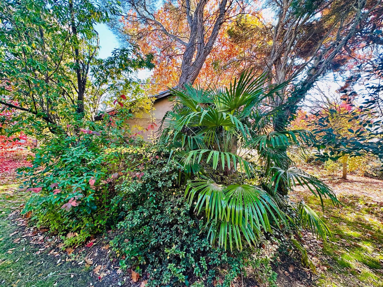 37 Bridge Street TUMBARUMBA 20