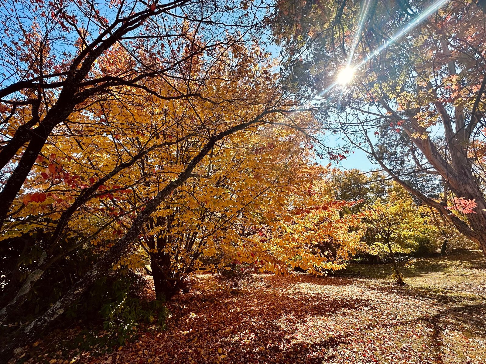 37 Bridge Street TUMBARUMBA 23