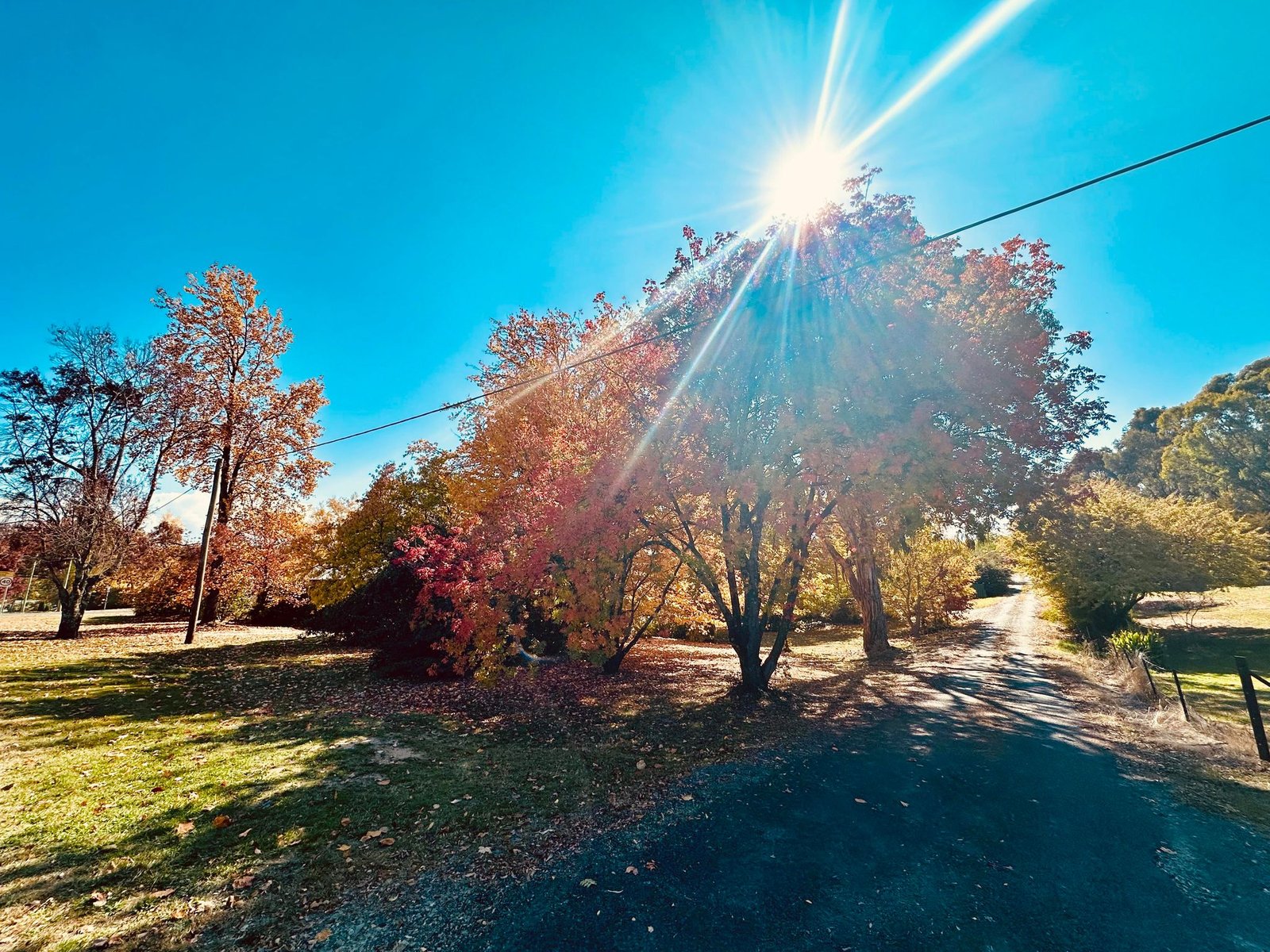 37 Bridge Street TUMBARUMBA 25