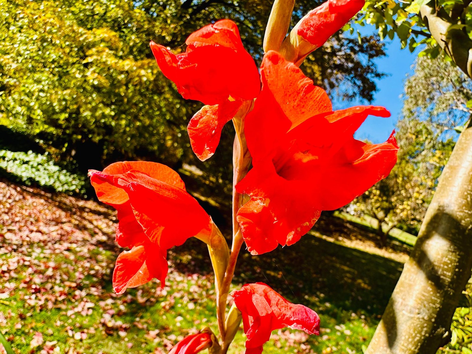 37 Bridge Street TUMBARUMBA 29