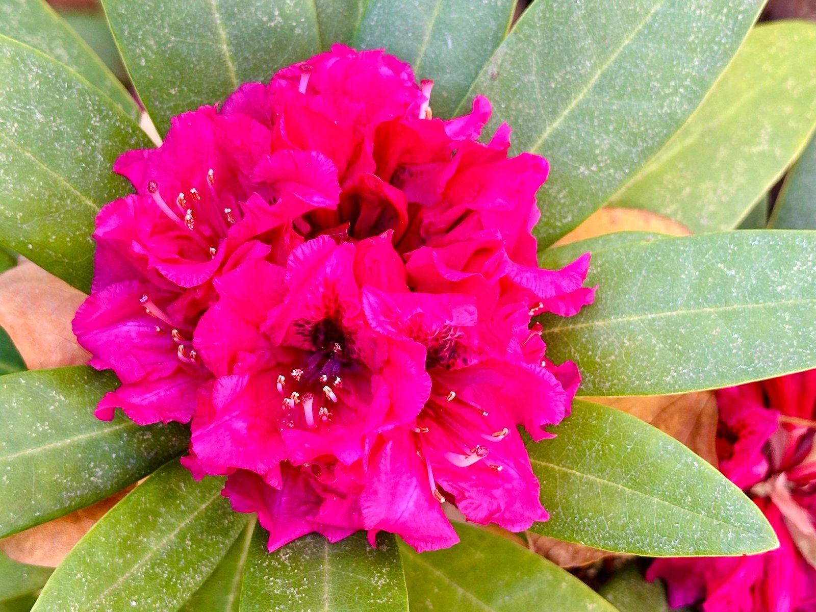 37 Bridge Street TUMBARUMBA 30