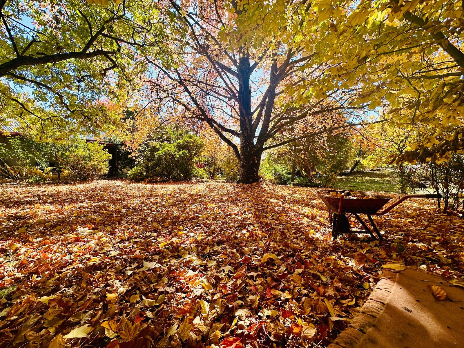 37 Bridge Street TUMBARUMBA 31