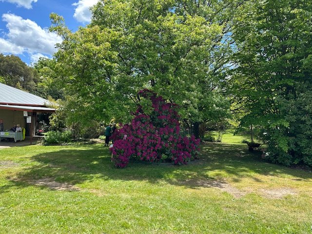 37 Bridge Street TUMBARUMBA 33