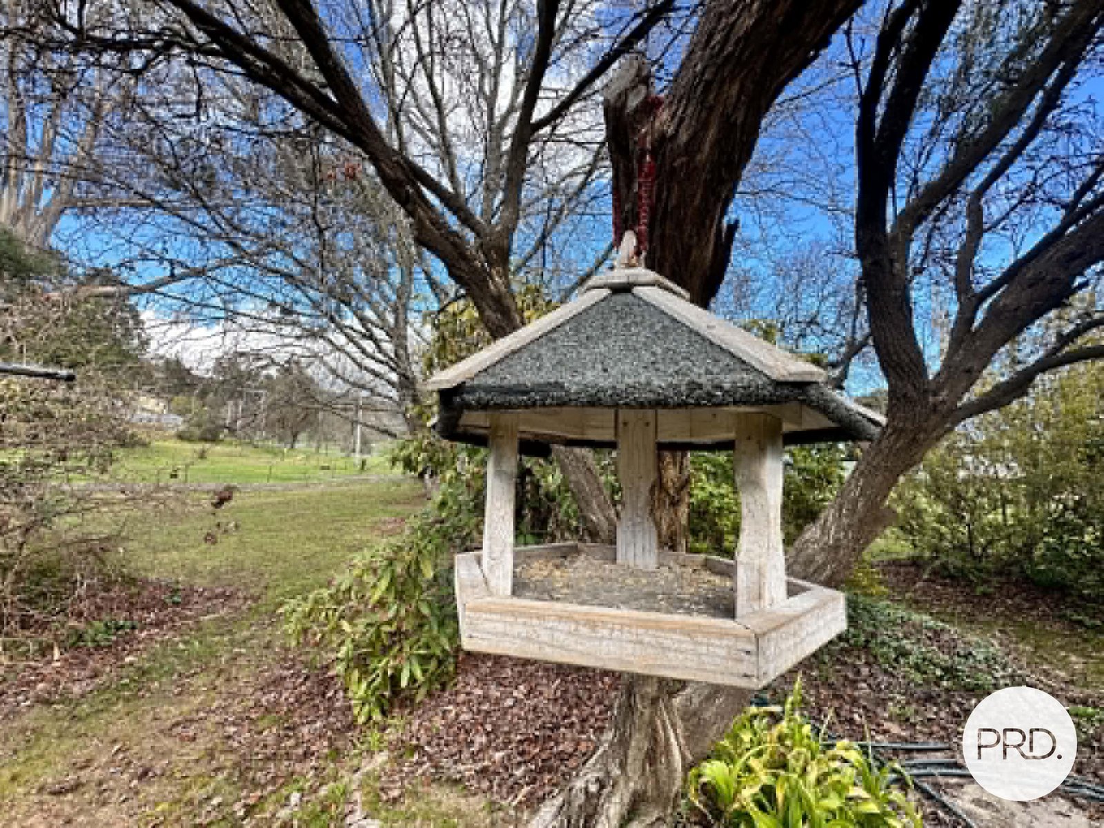 37 Bridge Street TUMBARUMBA 13