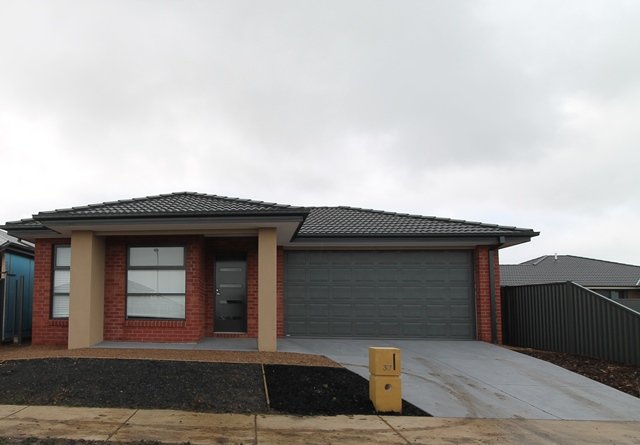 37 Daly Drive Lucas 1