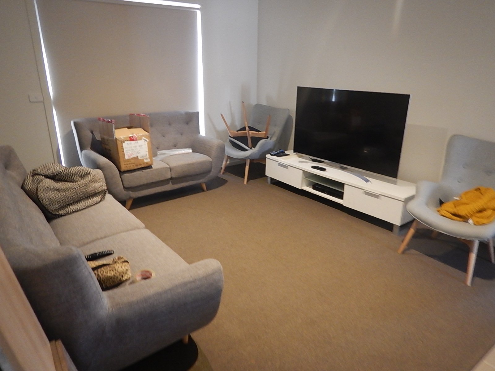 37 Daly Drive Lucas 3