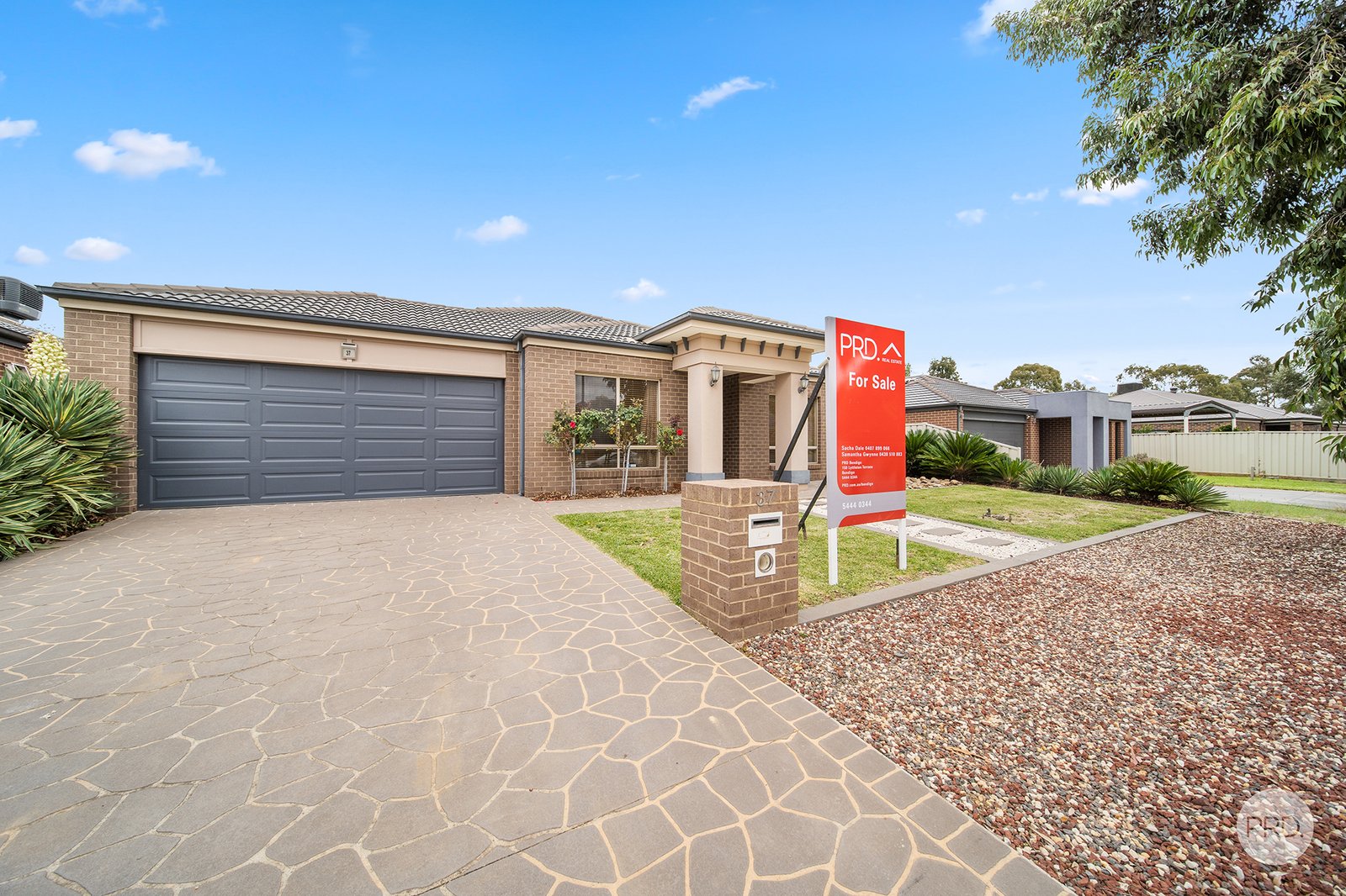 37 Elandra Drive ASCOT 2