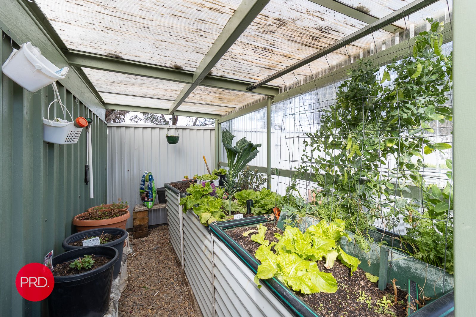 37 Forster Street BUNGENDORE 21