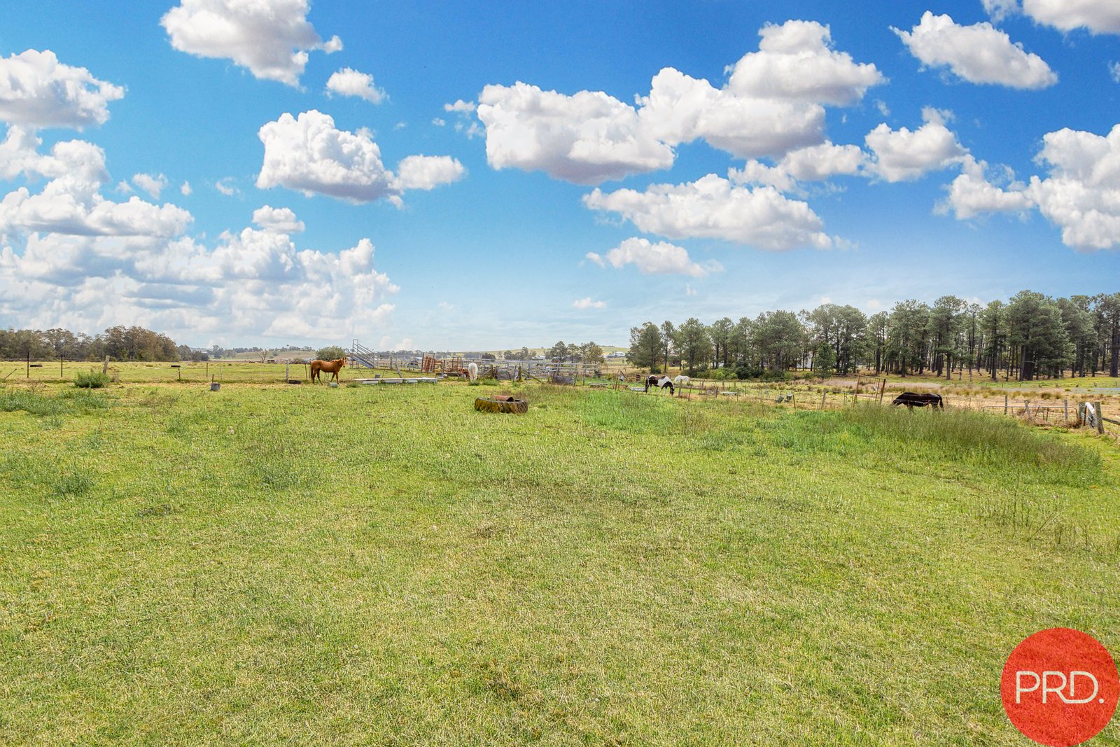 37 George Street EAST BRANXTON 13