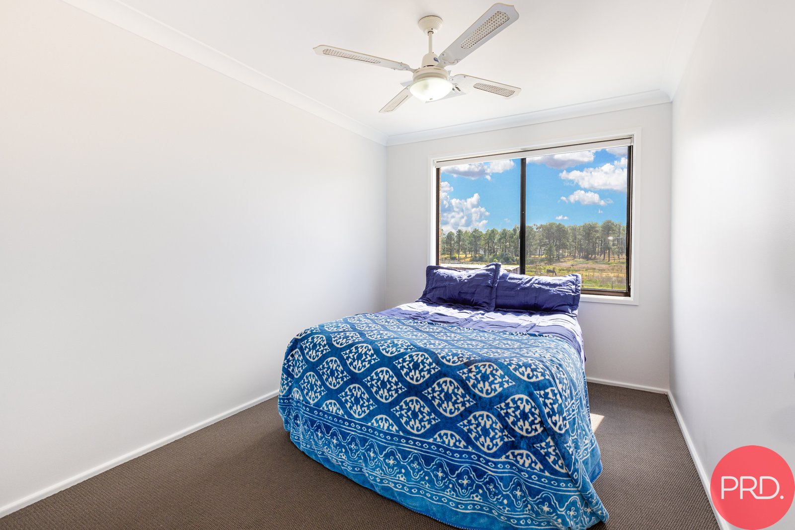 37 George Street EAST BRANXTON 25