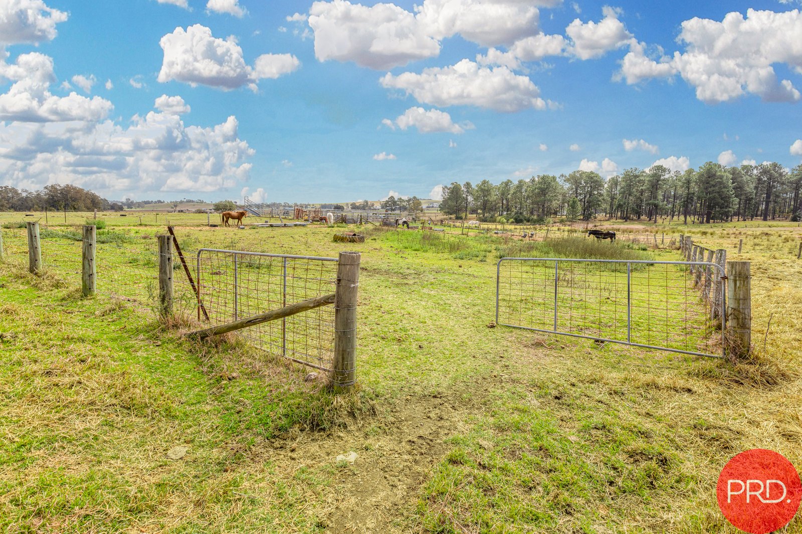 37 George Street EAST BRANXTON 31