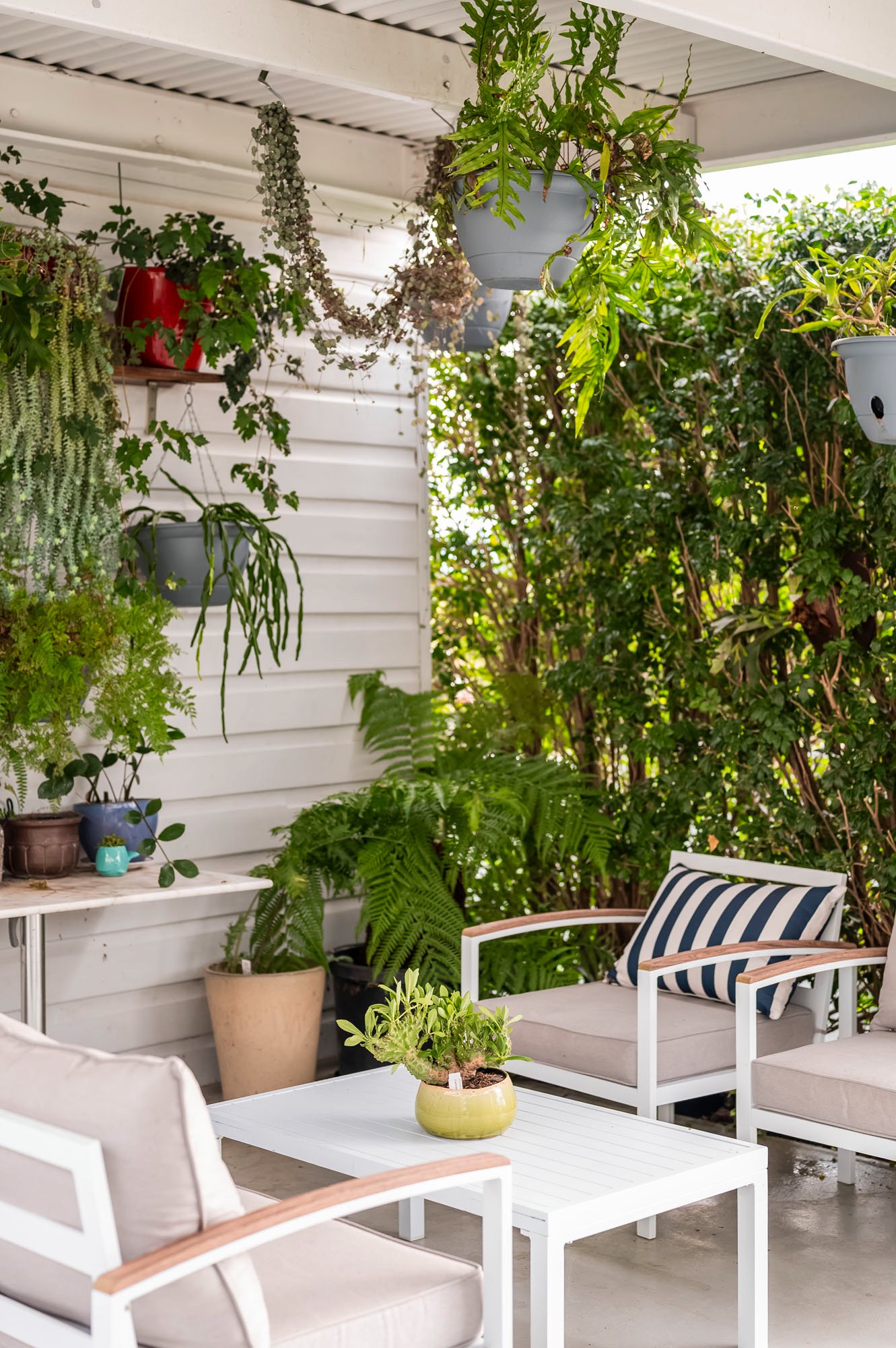 37 Green Street TELARAH 18