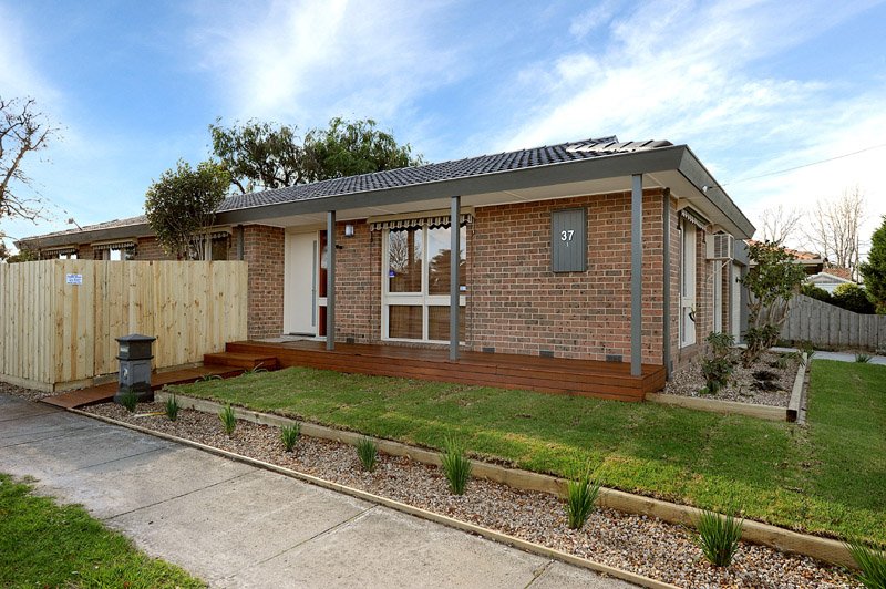 Gallery: 37 Hadley Street
