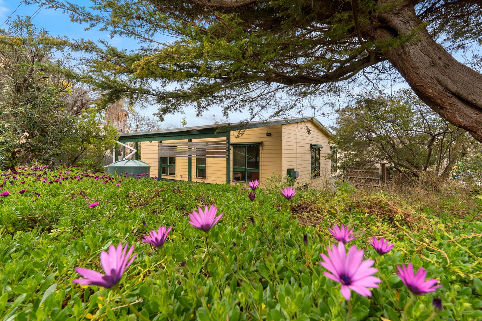 Real Estate and Property in 37 Hogan Drive, Rye, VIC