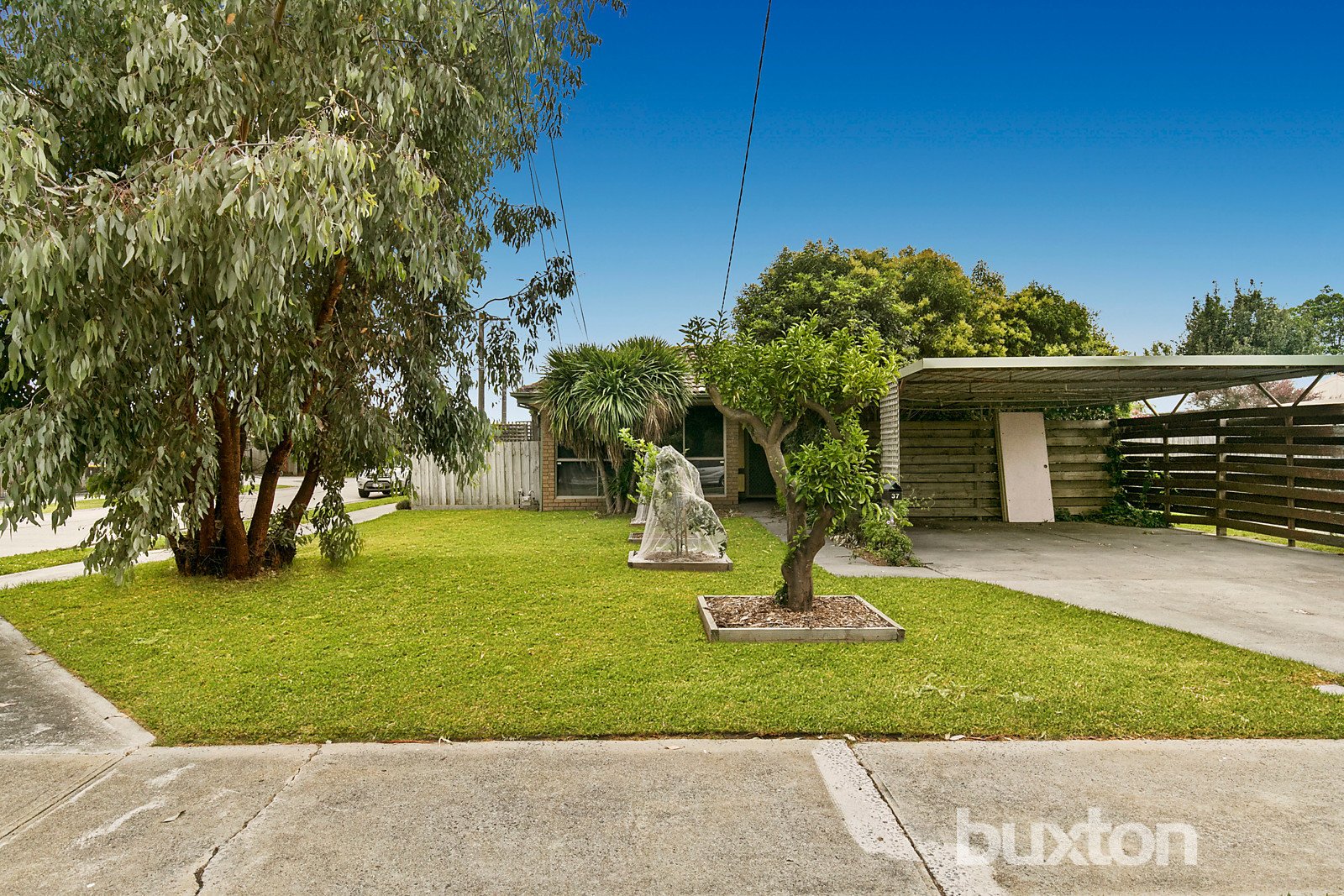 Gallery: 37 Iluka Avenue